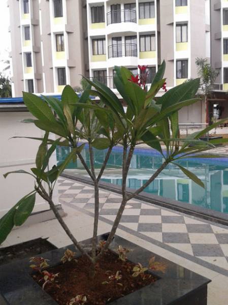 Others grandeur Others