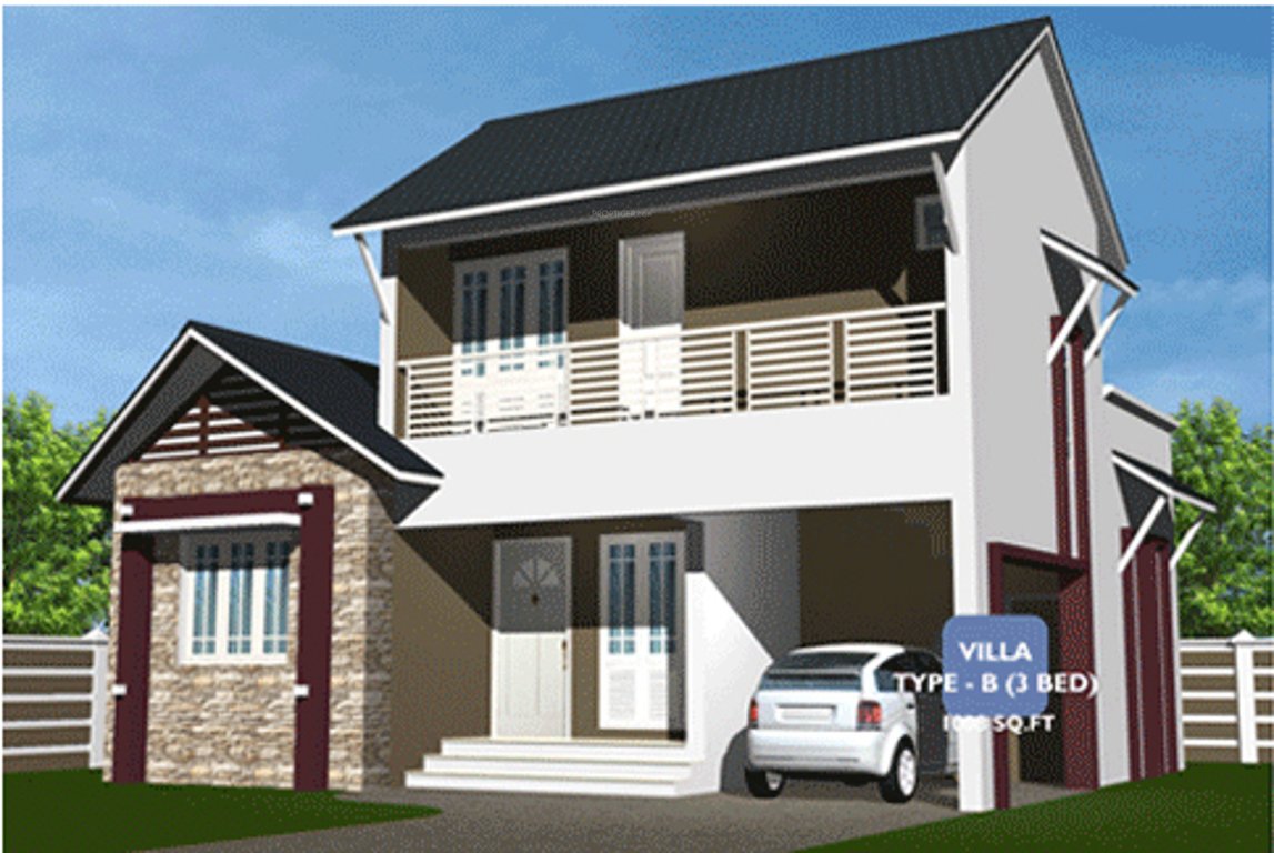 blue berry Elevation