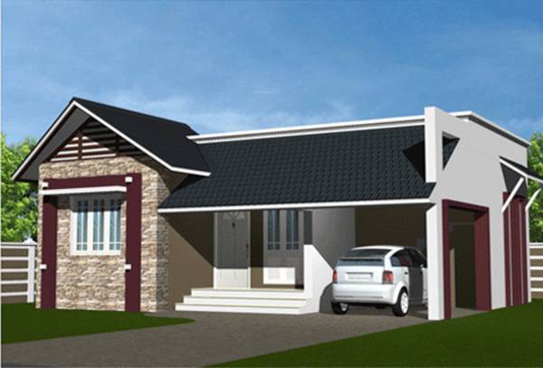  blue-berry Elevation