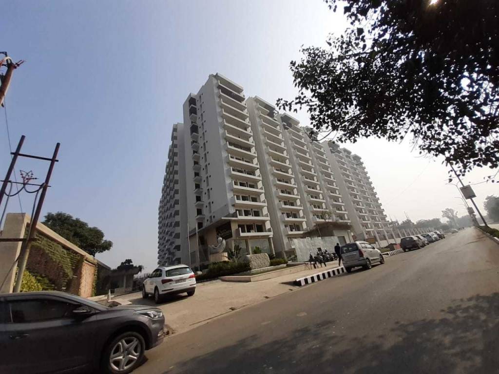  azea botanica Images for Project