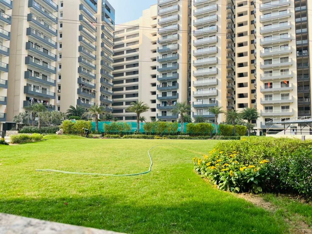  azea botanica Landscape Garden and Tree Planting