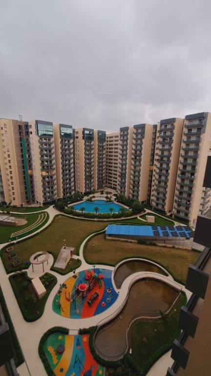  azea botanica Others