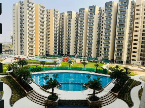 Others azea-botanica Others