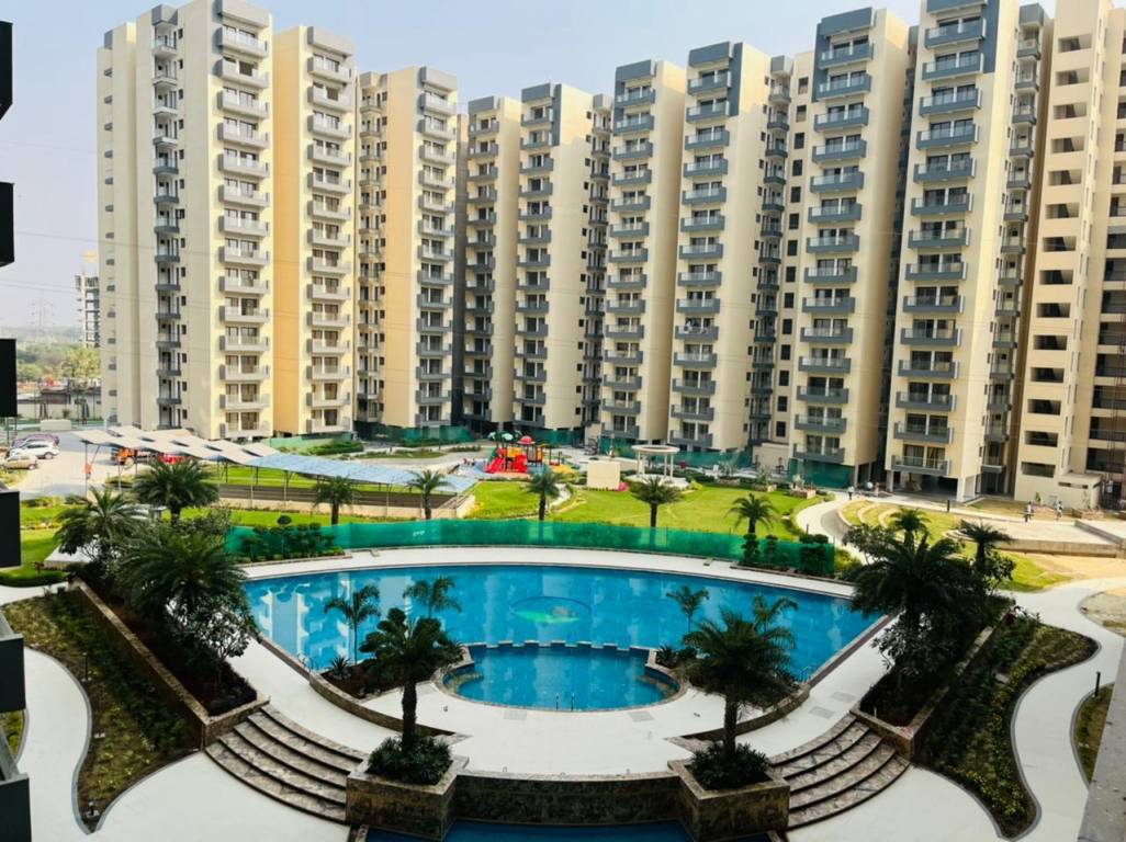  azea botanica Others