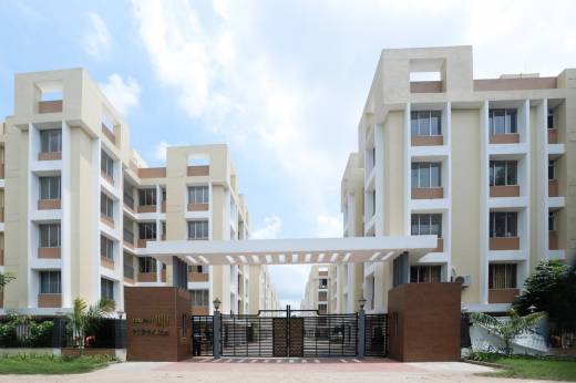 paradise Elevation Elevation