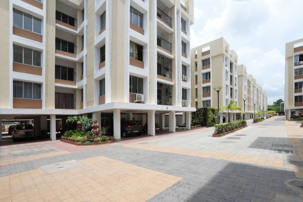  paradise Car Parking