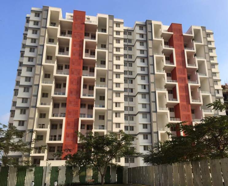  song of joy Elevation