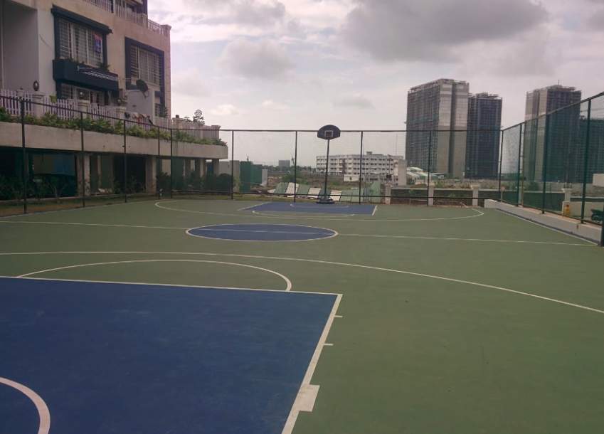  song of joy Basketball Court