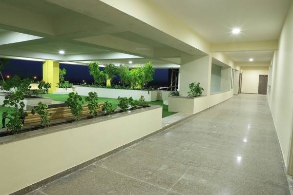  sunshine-prime Others