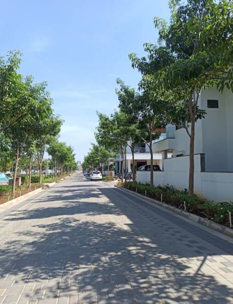  meadows Internal Roads & Footpaths