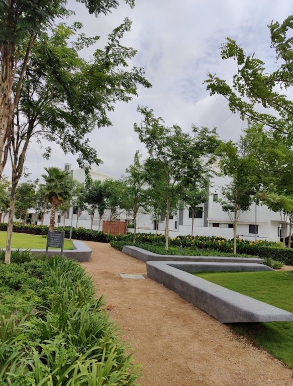  meadows Landscape Garden and Tree Planting