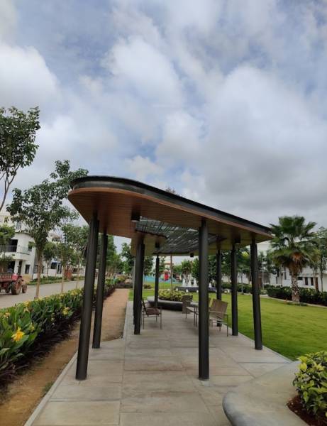  meadows Senior Citizen Sitout