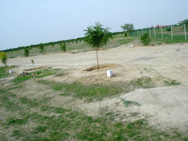 Images for Amenities of Shankuntlam South City