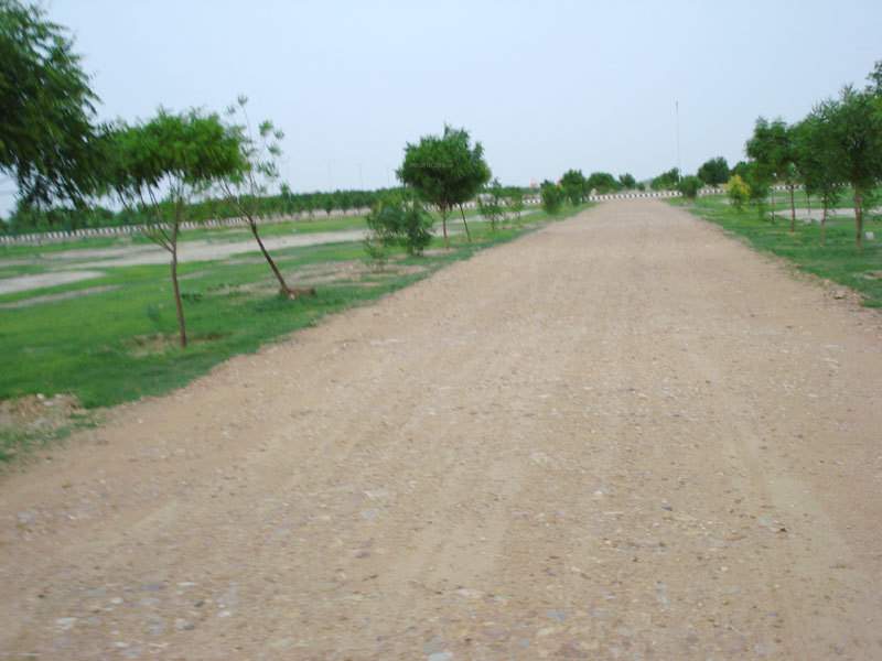  south city Plot