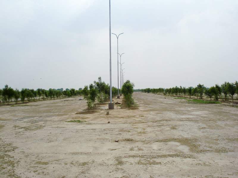  south city Plot