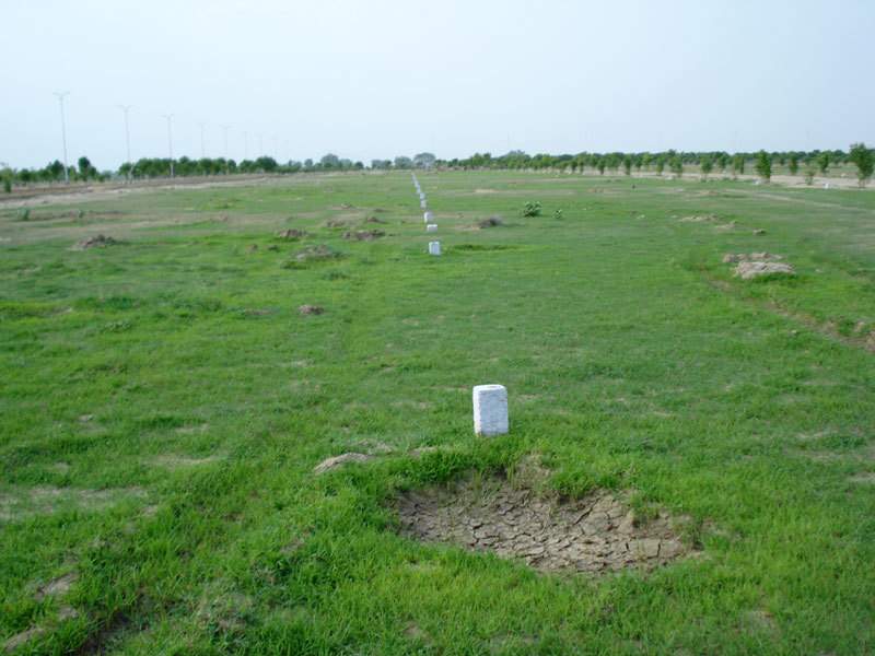  south city Plot