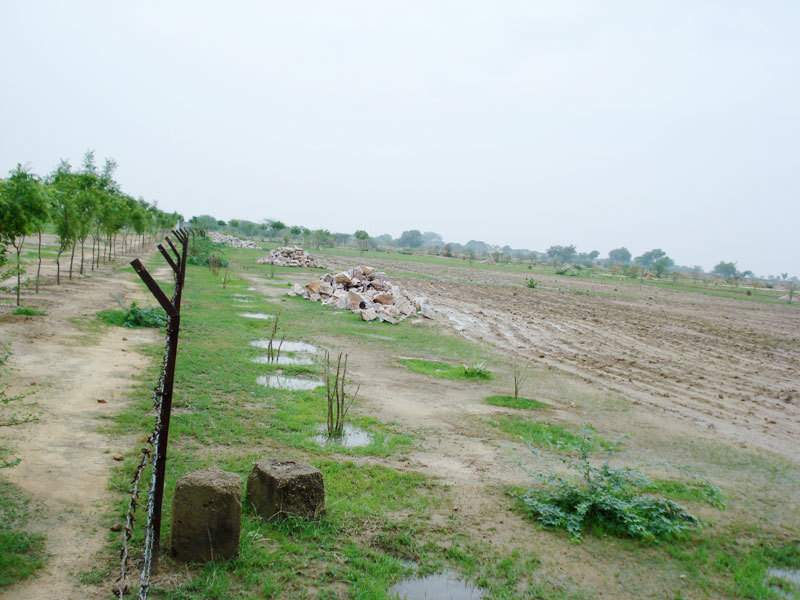  south city Plot