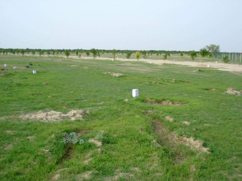  south city Plot