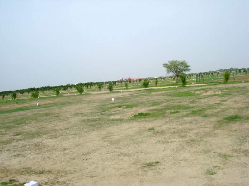  south city Plot
