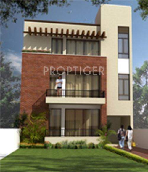 Images for Elevation of Vision Savoy Greens