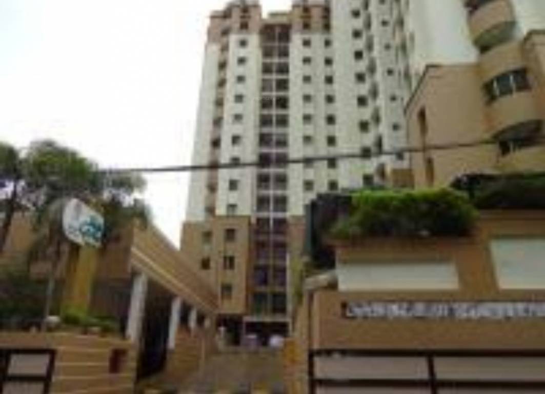 high grove Elevation