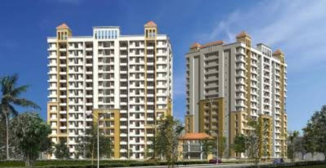 high grove Elevation