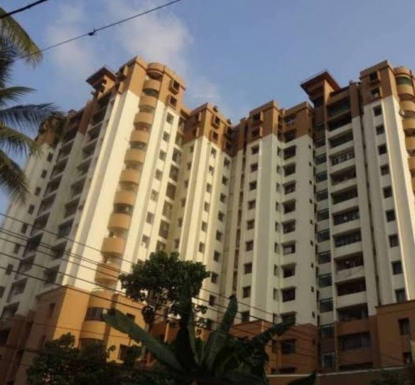 high grove Elevation