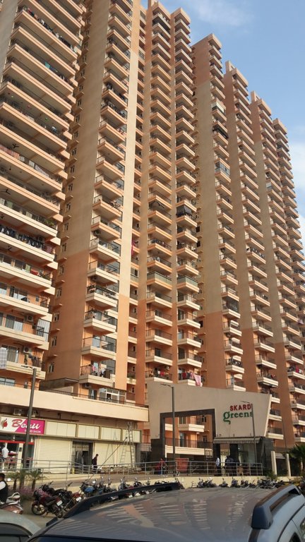 greens Images for Project