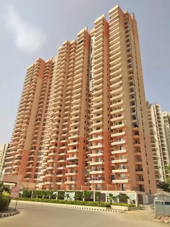 greens Images for Project