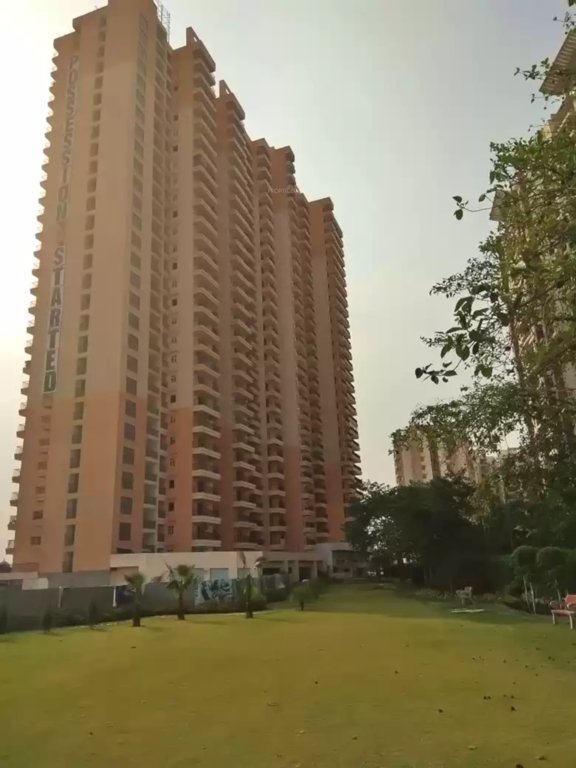 greens Images for Project