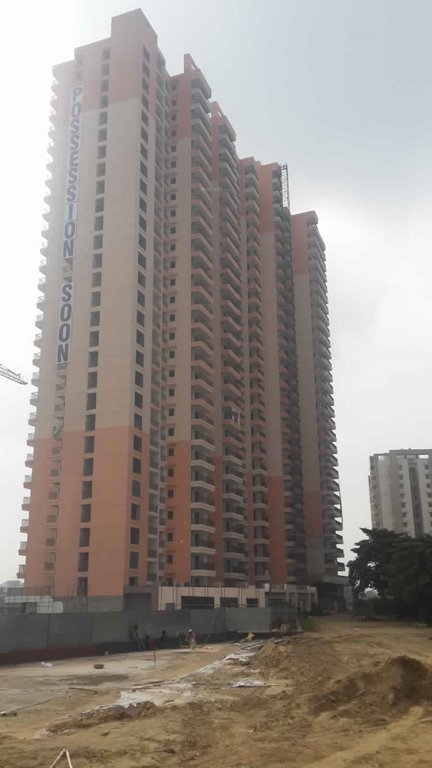 greens Images for Project