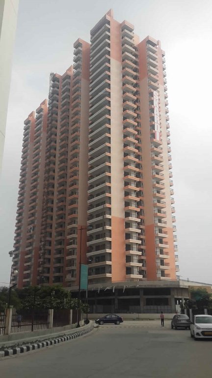 greens Images for Project