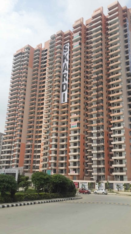 greens Images for Project