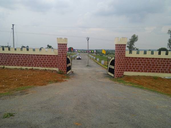  county-le-grande Elevation