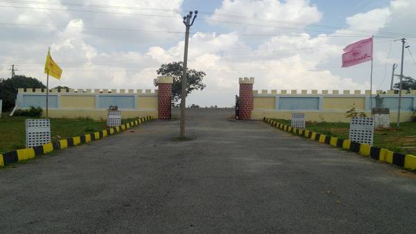  county-le-grande Elevation