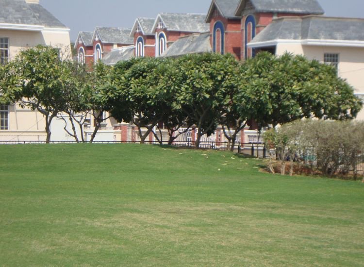  county Landscape Garden and Tree Planting