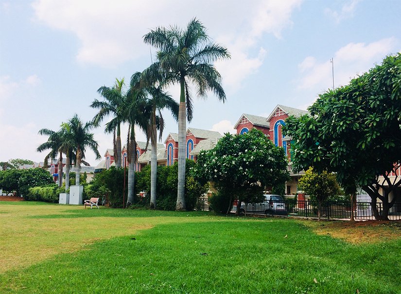  county Landscape Garden and Tree Planting