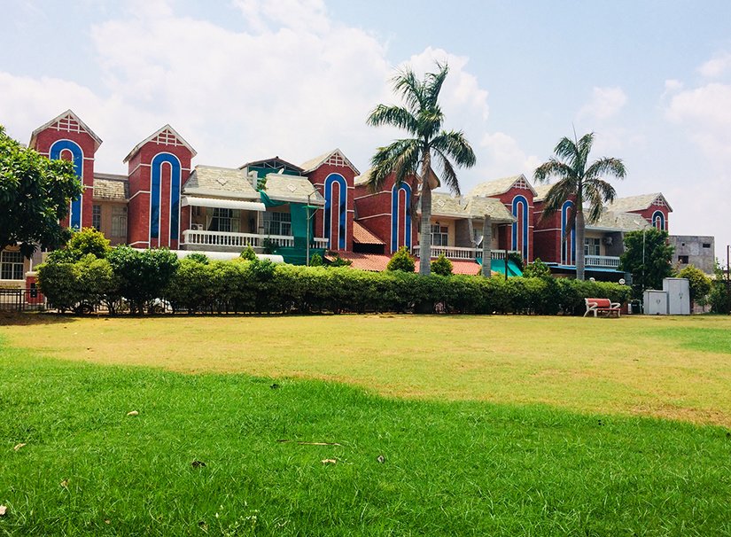  county Landscape Garden and Tree Planting