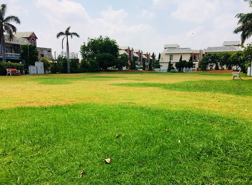  county Landscape Garden and Tree Planting