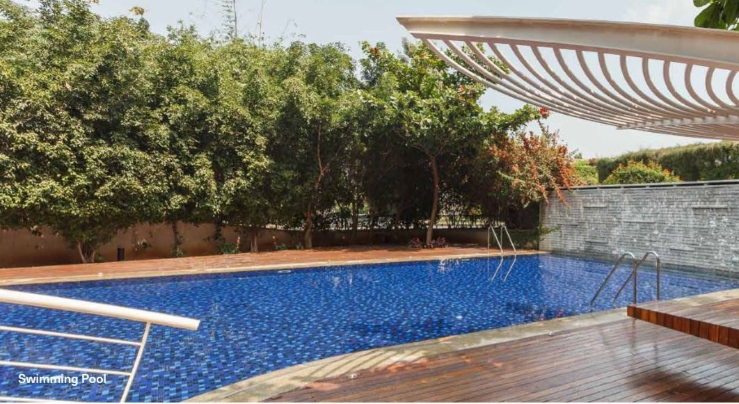  learning to fly Swimming Pool