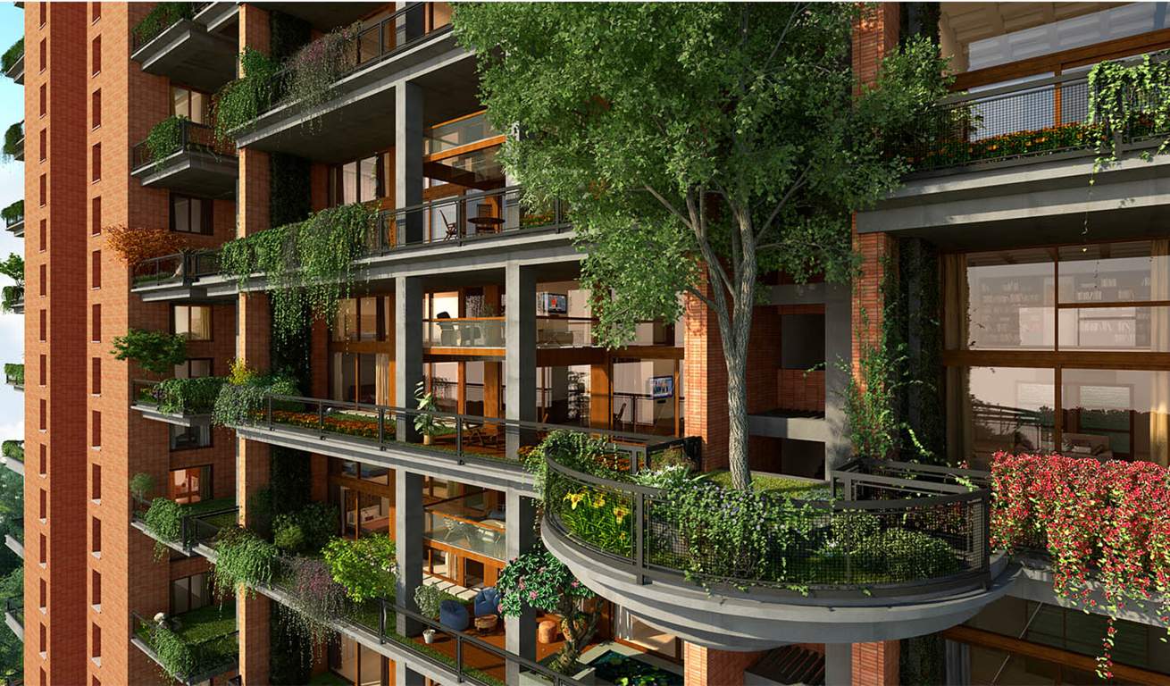 Images for Amenities of Total Environment Songs From The Wood