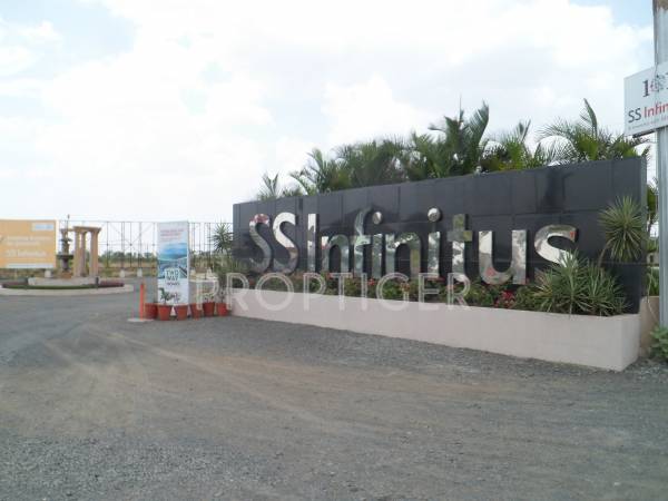 Images for Main Other of SS Infinitus Plots