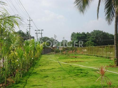  sri-sai-nagar Images for Elevation of Max Concorde Sri Sai Nagar