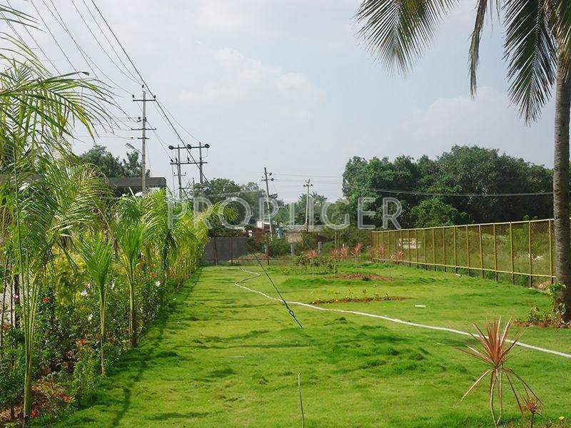 sri sai nagar Images for Elevation of Max Concorde Sri Sai Nagar