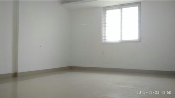 silver bloom Images for mainOther