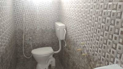  silver-bloom Images for mainOther