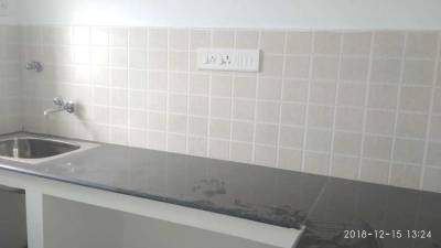  silver-bloom Images for mainOther