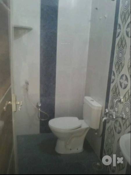  silver-bloom Images for mainOther