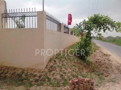 Images for Main Other of Shire Rose N City