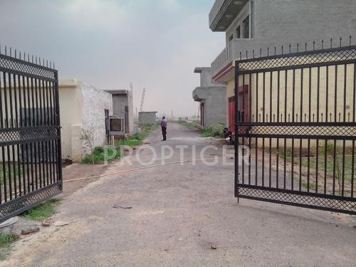 Images for Main Other of Shire Rose N City